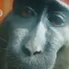 Zaid Rivera - @zaid.rivera37 - TikTok