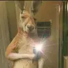 Zaid Rivera - @zaid.rivera76 - TikTok