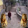 Zaid Curvino Serrano - @zaidcurvinoserran - TikTok