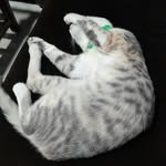 zaidserranoguzman - @zaidserranoguzman - Instagram