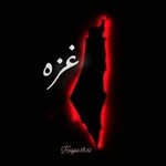 Zaid Shawwa - @shawwa.zaid - Instagram