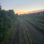 zaid ward - @thaerwardeh95 - Instagram