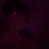 zaidenward24 - @zaidenward24 - TikTok
