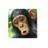 ZC287 - @zaidaconcepcion - TikTok