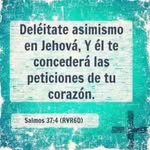 Zaida Simons - @zaida.simons.75 - Instagram