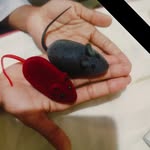 Zaimah Abdullah - @zakiahabdullah638 - Instagram