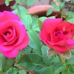 Zaimah Abdullah - @a.zaimah - Instagram