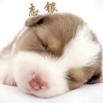 志银 - @zainchenczy - Instagram