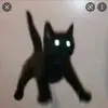 Zaine Collins - @zaine.collins - TikTok