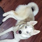 Zain Davis - Facebook