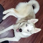 Zain Davis - @zain.davis.3998 - Instagram