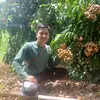 Zaindin - @zaindin06 - TikTok