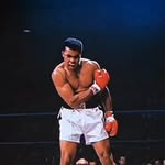 Zian Hussein Bekhit - @zainhussein11 - Instagram