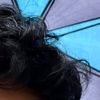 Zain Jackson - @zain.jackson1 - TikTok