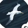 Zain Jamshaid - @im.zainjamshaid - TikTok
