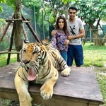 Zain Malak - @zainmalak_7 - Instagram