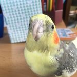 Zain Merchant - @zainmerchant1_ - Instagram
