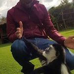 Zain Patel - @zainpatel88 - Instagram