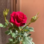 Zainab - @zainray - Instagram