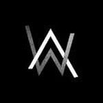 Zain Walker - @zainwalker_marshmello - Instagram