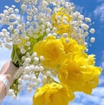 Zaina John - Facebook