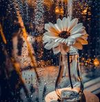 Zaina Khan - Facebook