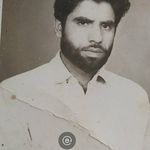 Zainab Qamar - @zainab.qamar.1428 - Instagram