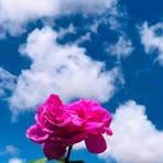 Zainab Al - Facebook