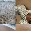 zayzay - @zainabbalogun01 - TikTok