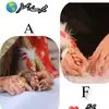 فہد کی زوجہ 💫😍🥰💕🌍 - @zainabrahim10 - TikTok