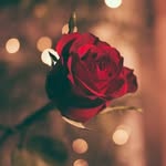 Zainab Rahim - @zainab.rahim.73 - Instagram