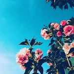 zainab rahim - @zainab___rahim - Instagram