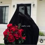 ❤️✨ زینب رضویہ ✨❤️ - @zainab_razviya_______243 - Instagram