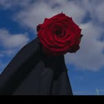 🌹 Zainab Razvi 💞 - @zainab_razvi_shehzadi - Instagram