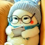 @zain_ebsaied - Instagram