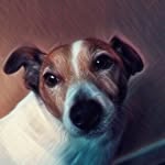 zak barber - @zak9379 - Instagram