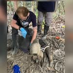 Zak Bond - @zak.bond - Instagram