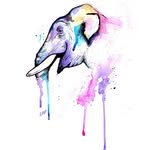 Zak Bond Watercolor - @zakbondweatherly - Instagram