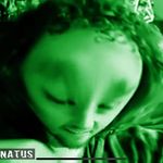 Zak - @_zak.evans_ - Instagram