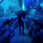 Zak Fleming - @zak_fleming1999 - Instagram