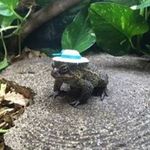 Zak Fuller - @zakmf - Instagram