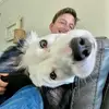 TheZakGeorge - @thezakgeorge - TikTok