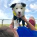 Zak George - Facebook