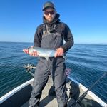 Zak Harris - @zakharris - Instagram