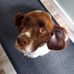 Zak Harrison - Facebook