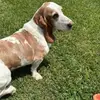 zack hebert - @zack.hebert09 - TikTok