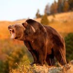 @zak_hunt85 - Instagram