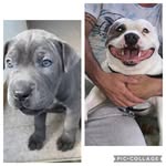 Zak Hunter - @zak_hunter_1 - Instagram