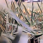 Zak Jacobs - @jacko_is_the_best - Instagram