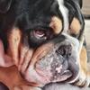 Zak Johns529 - @zak.johns.07 - TikTok